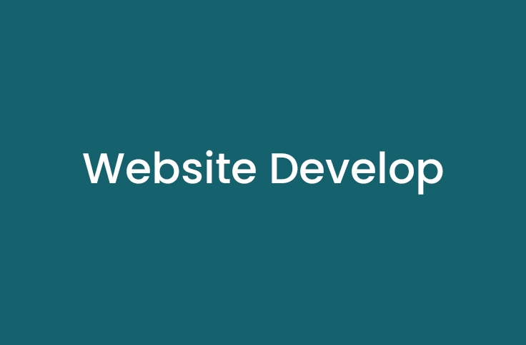 Website develop Portfolio